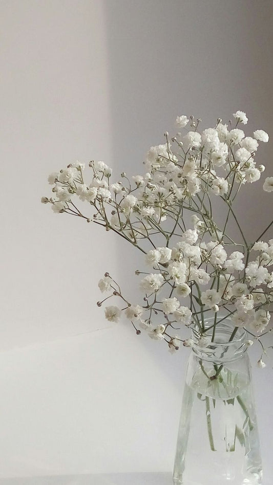 Gyp Flower